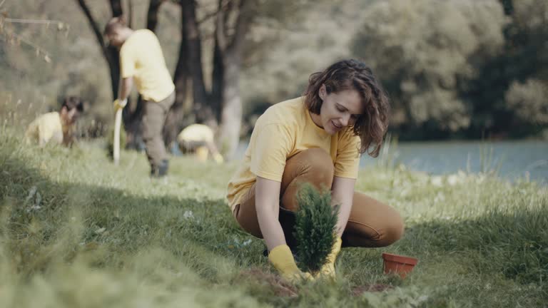 Lawn Maintenance Plans in Paloma Creek, TX